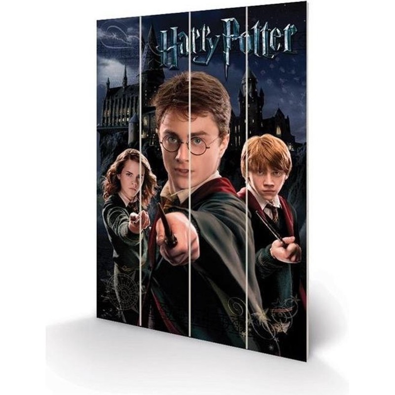 HARRY POTTER - HARRY RON & HERMIONE - IMPRESSION SUR BOIS 40X59CM Produits dérivés Bruno Vidéo