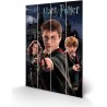 HARRY POTTER - HARRY RON & HERMIONE - IMPRESSION SUR BOIS 40X59CM Produits dérivés Bruno Vidéo