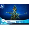 AVATAR LA VOIE DE L EAU - NEYTIRI - DIORAMA D-STAGE 15CM Cinéma / Série TV Bruno Vidéo